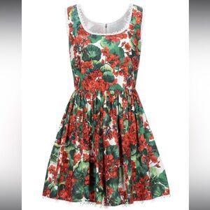 Dolce & Gabbana runway floral mini dress size 48 🌺 NWT